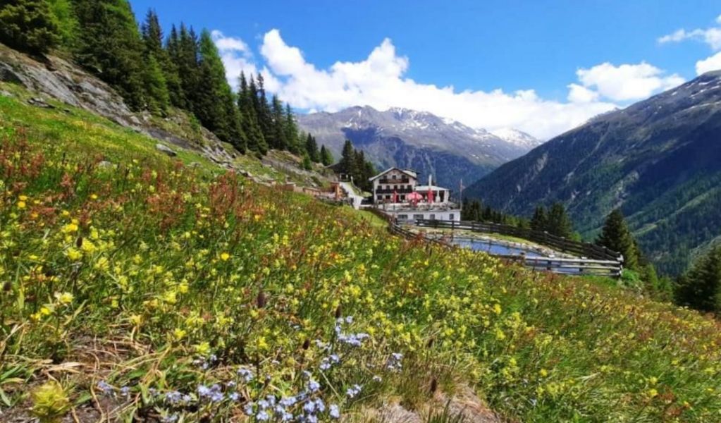 Alpengasthof Gaislach Alm - Sölden - Ötztal
