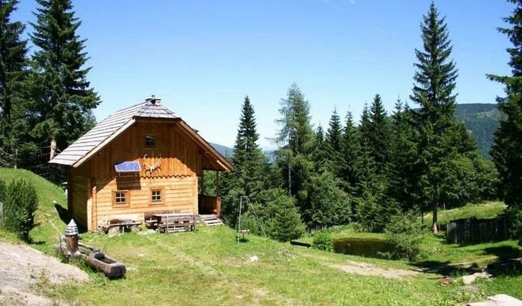 Willi´s Almhütte - Predlitz - Urlaubsregion Murau-Murtal