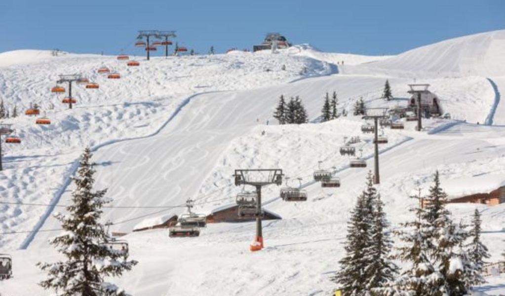 Griesslhütte & Zauchenseehütte - Flachau - Salzburger Sportwelt