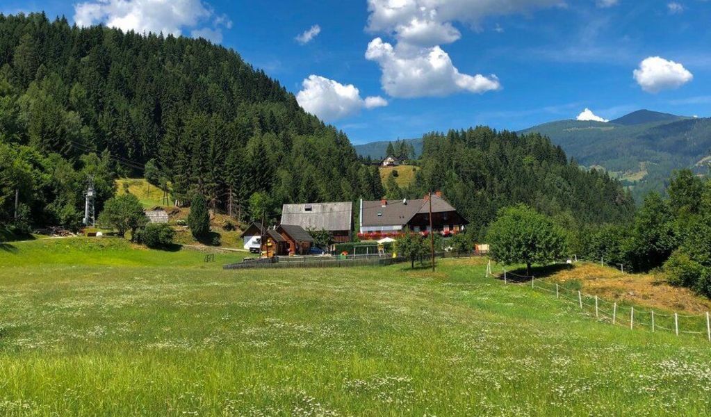 Bauernhof Edlinger vlg. Tscheppa - St. Georgen am Kreischberg - Urlaubsregion Murau-Murtal