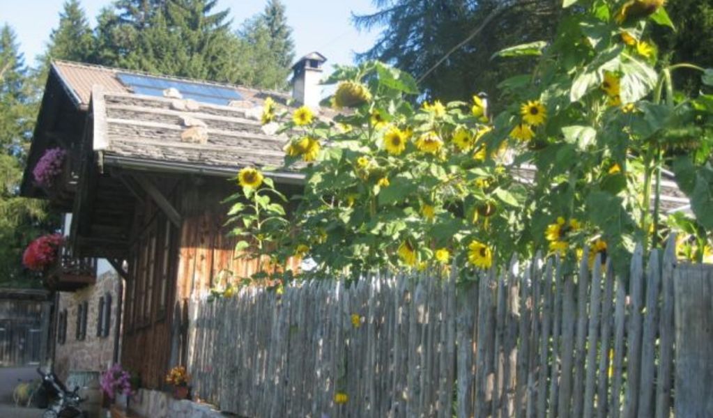 Leadner Alm - Vöran - Meran und Umgebung