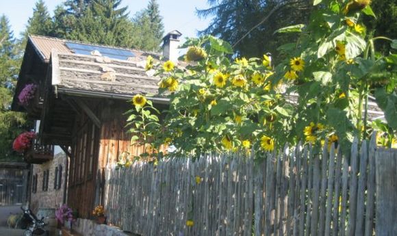 Leadner Alm - Vöran - Meran und Umgebung