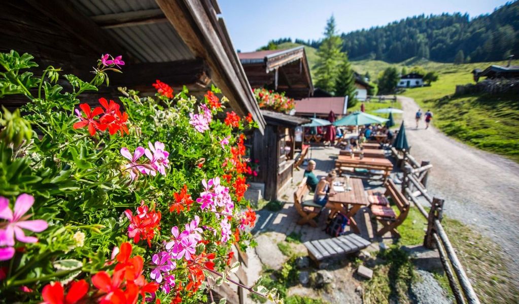 zur LINÄ - Stöfflhütte Walleralm - Scheffau - Wilder Kaiser