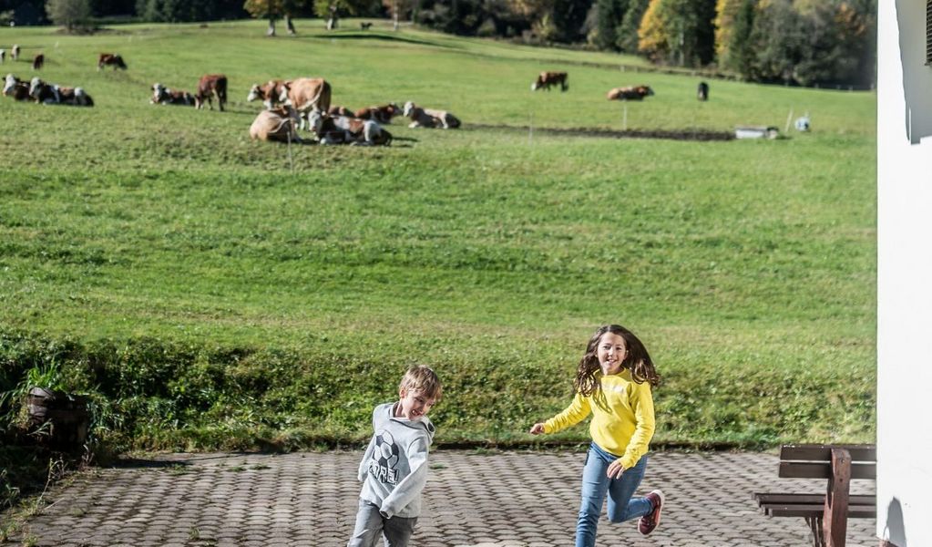 Selbstversorgerhaus Bergheimat - Hohentauern - Urlaubsregion Murau-Murtal