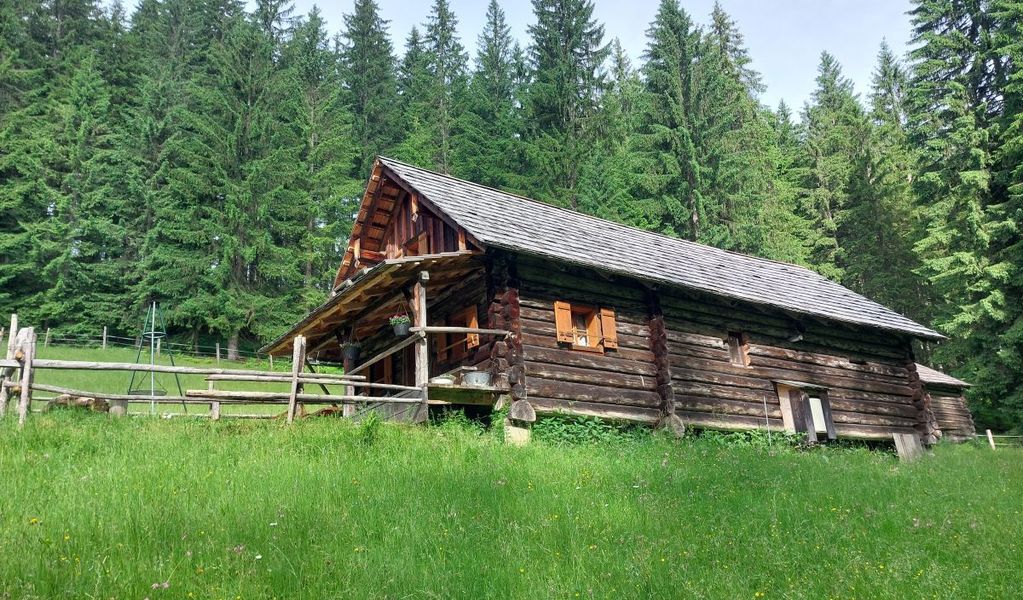 Almhütte Schmiedsipplalm - Gosau - Dachstein Salzkammergut