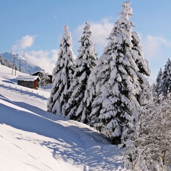 Lichteben Chalets - Hippach - Zillertal