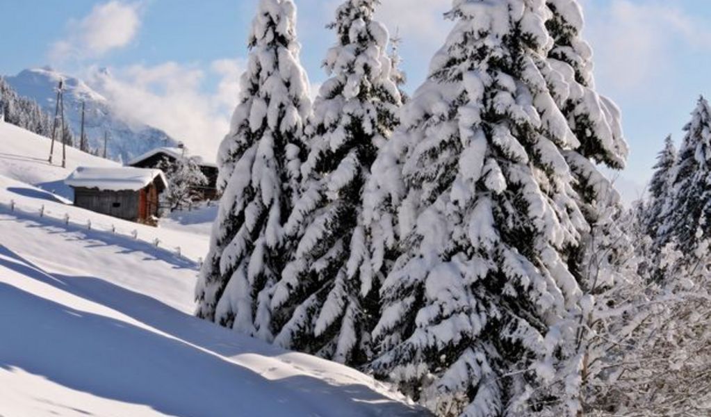 Lichteben Chalets - Hippach - Zillertal