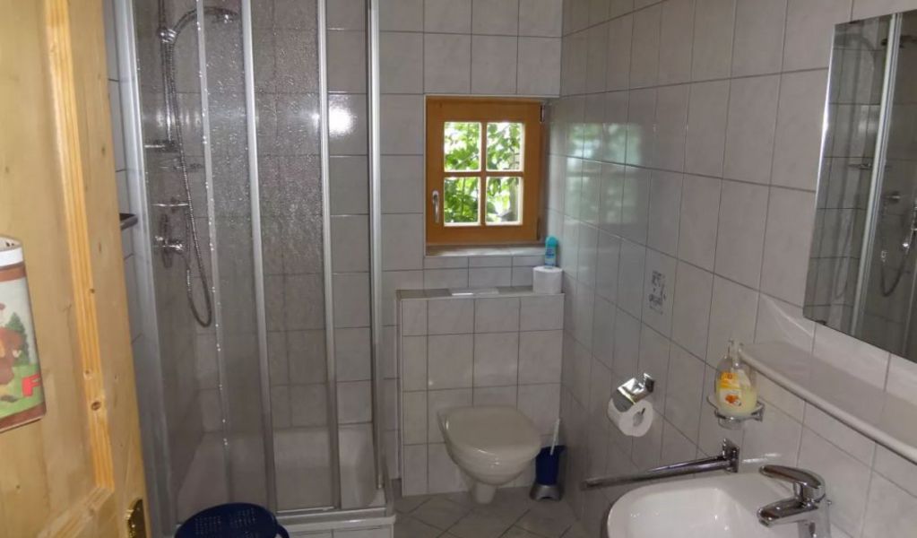 Ferienhütte Elisabeth - Hippach - Zillertal