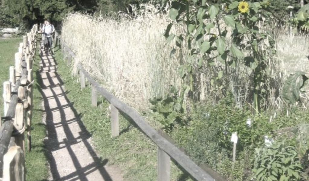 Leadner Alm - Vöran - Meran und Umgebung