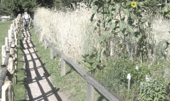 Leadner Alm - Vöran - Meran und Umgebung