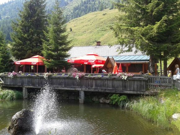 Schmiedalm - Haus im Ennstal - Schladming-Dachstein