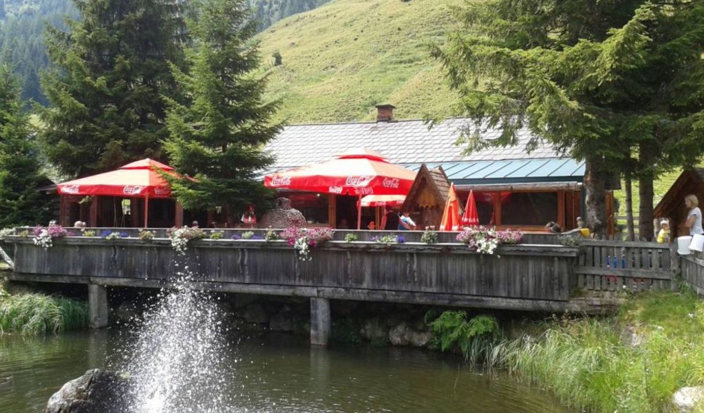 Schmiedalm - Haus im Ennstal - Schladming-Dachstein