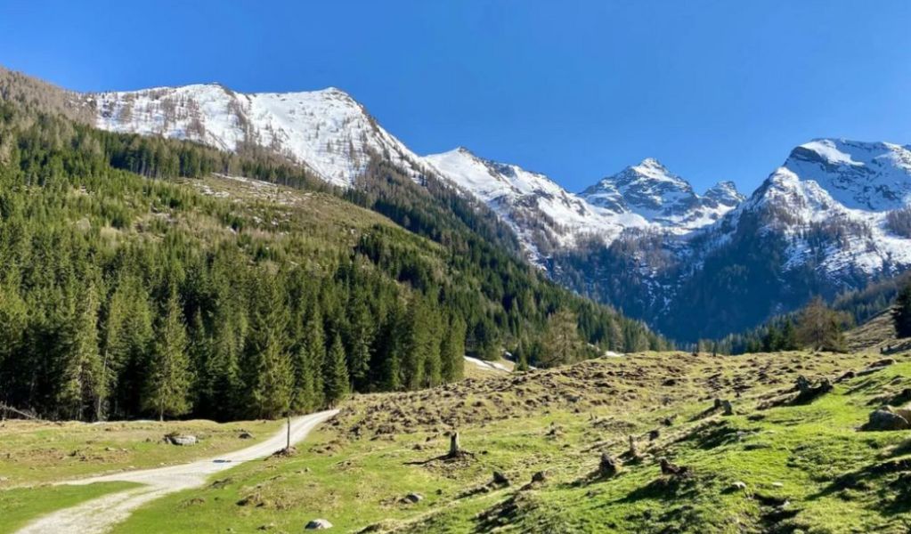 Maierlalm - Haus im Ennstal - Schladming-Dachstein