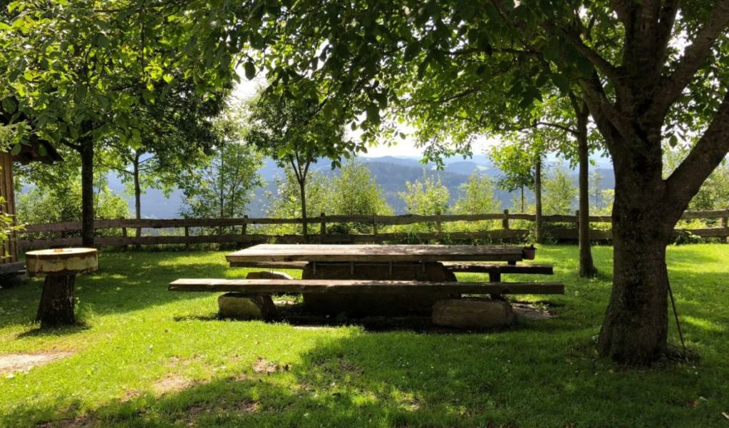 Die Waldheimathütte - St. Kathrein/Hauenstein - Hochsteiermark