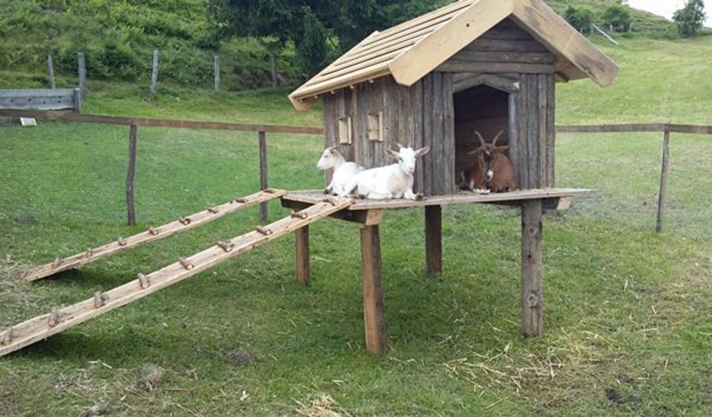 Bergalm - St. Koloman - Tennengau