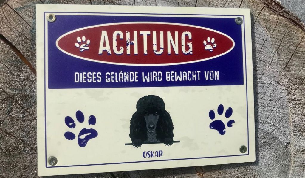 Häuslalm - Thörl - Hochsteiermark