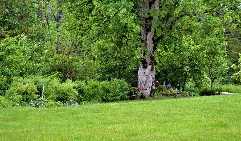 Höblinghof - Schwarzau im Gebirge - Wiener Alpen