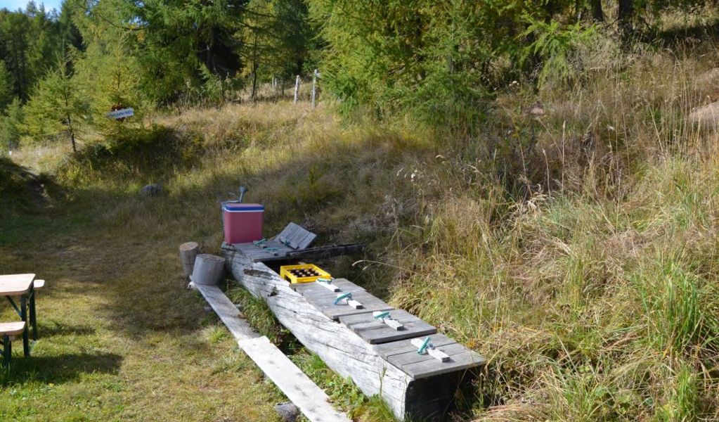 Holzbotschafter Hütt´n - Stadl-Predlitz - Urlaubsregion Murau-Murtal