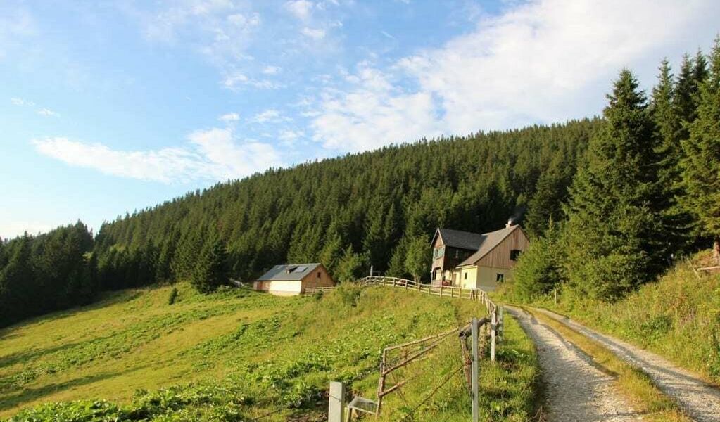 Almhütte am Gaberl - Weisskirchen - Murtal