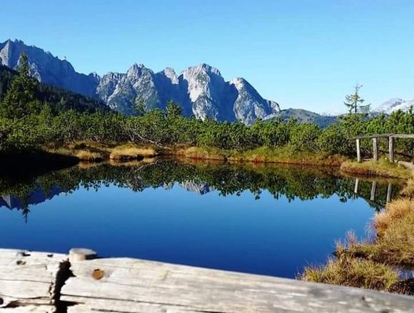Brielalm - Gosau - Dachstein Salzkammergut