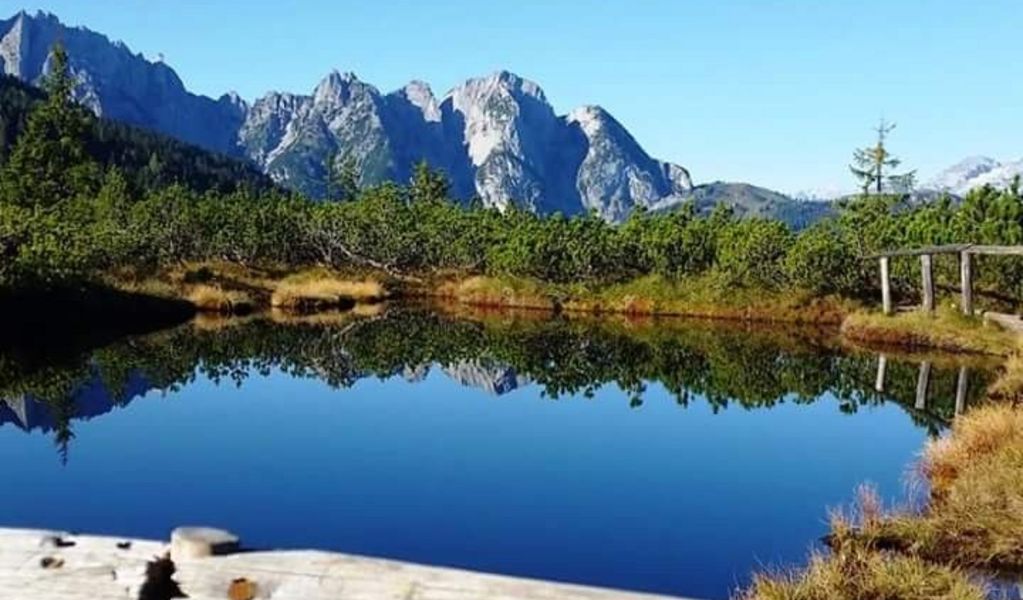 Brielalm - Gosau - Dachstein Salzkammergut