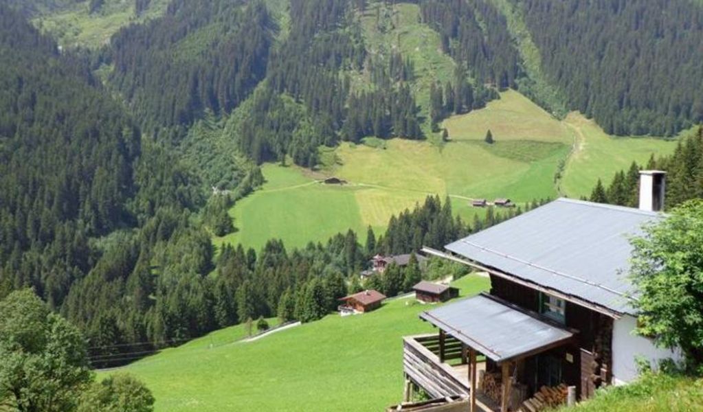 Lichtebenalm - Hippach - Zillertal