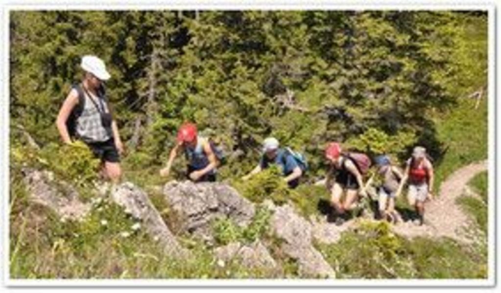 Alpe Mitterhaus - Vorderhindelang - Allgäu
