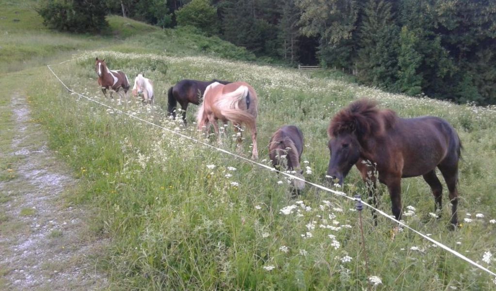Moaralm - Rauschhütte - Haus im Ennstal - Schladming-Dachstein