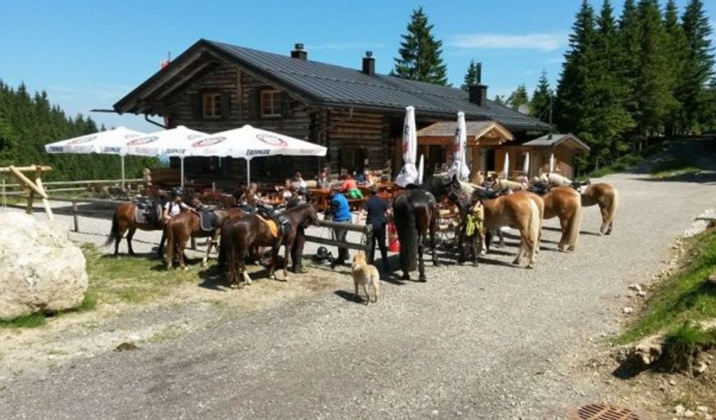 Drehhütte - Schwangau - Allgäu
