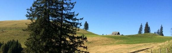 Hofbauer Alm - Breitenau am Hochlantsch - Hochsteiermark