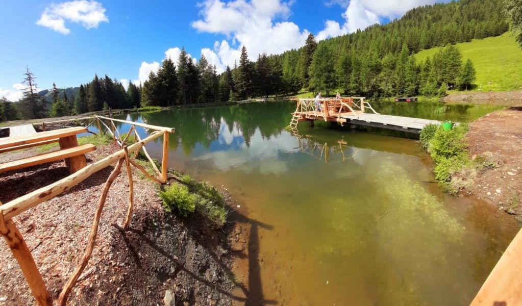 Lamprechtalm Hütte - Eisentratten - Nockberge