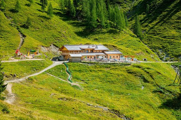 Loosbühelalm - Großarl - Großarltal