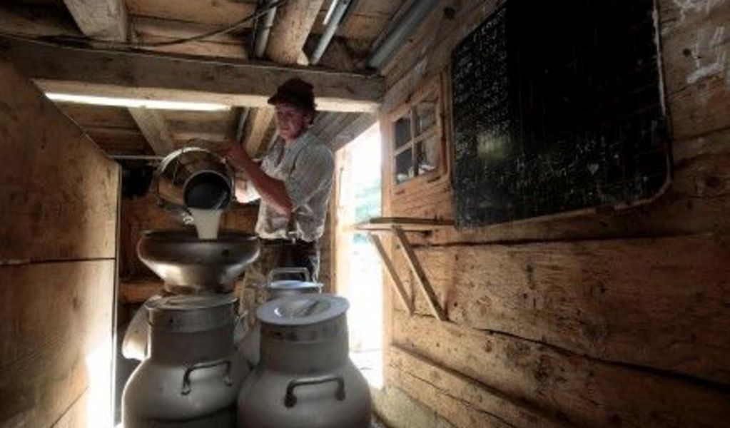 Alpe Oberberg - Gunzesried - Allgäu