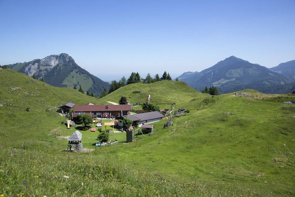 Schutzhütte Kranzhorn Alm - Erl - Kufsteinerland