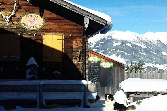 Jausenstation Alpenrose-Fellenberg - Mayrhofen - Zillertal
