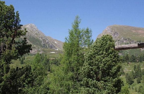 Kärntnerhaus Falkert - Patergassen - Nockberge