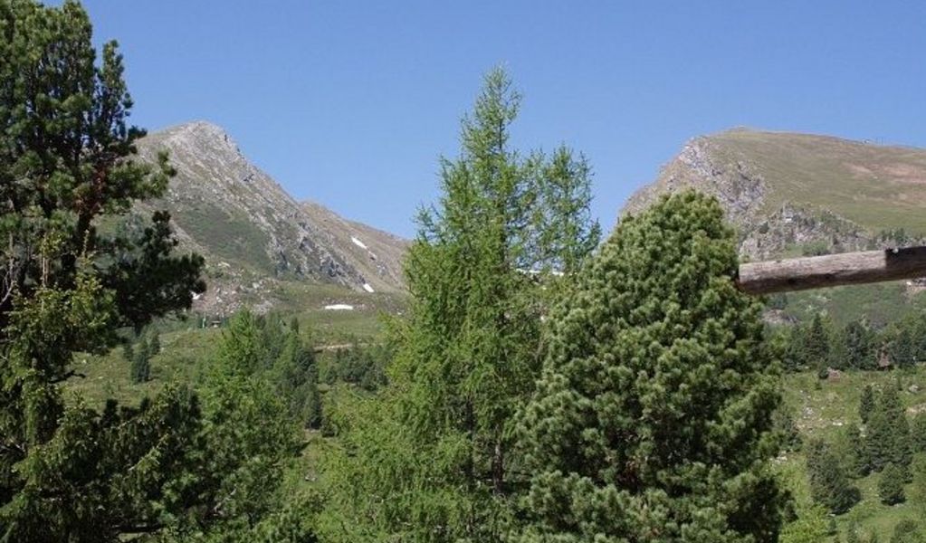 Kärntnerhaus Falkert - Patergassen - Nockberge