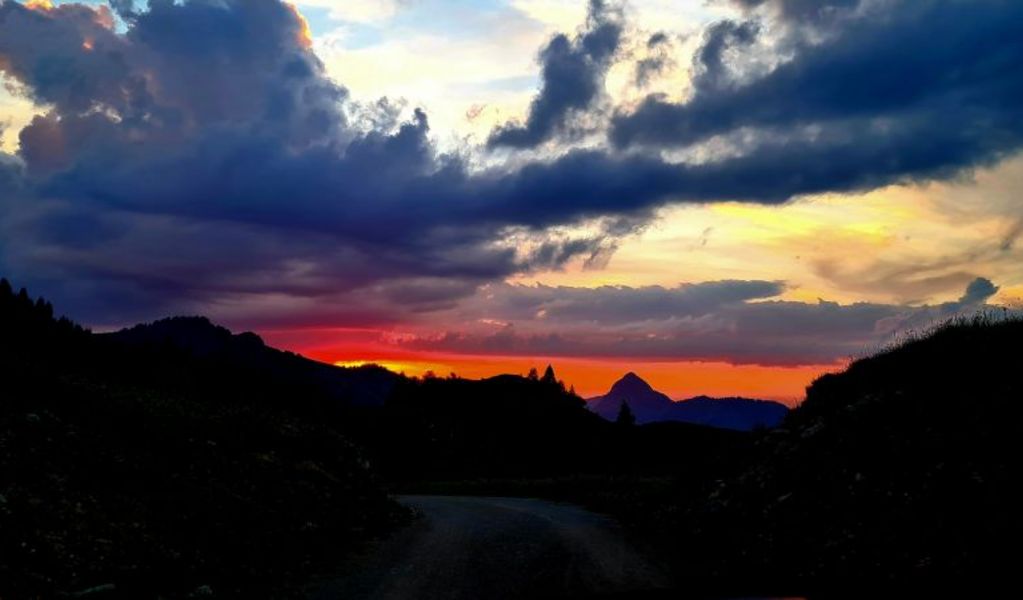 Gräner Ödenalpe - Nesselwängle - Tannheimer Tal