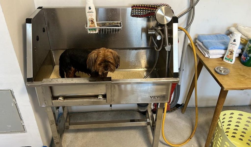 Haus am Fischteich - St. Michael ob Bleiburg - Carnica Region Rosental