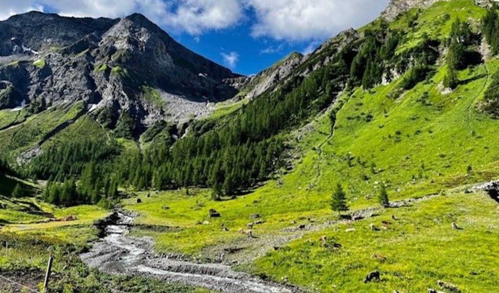 Alpe Kaisers - Kaisers - Lechtal