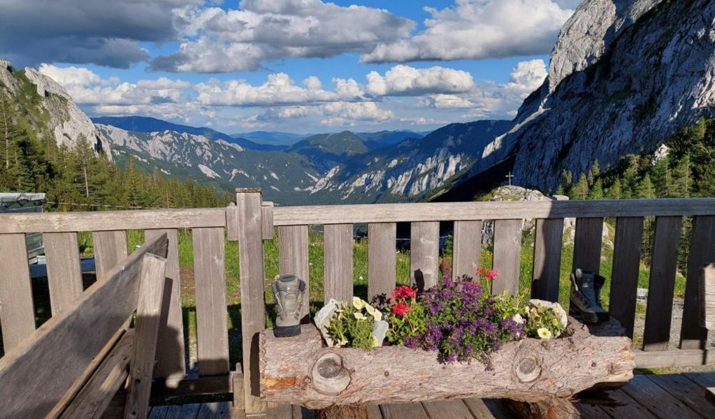 Häuslalm - Thörl - Hochsteiermark