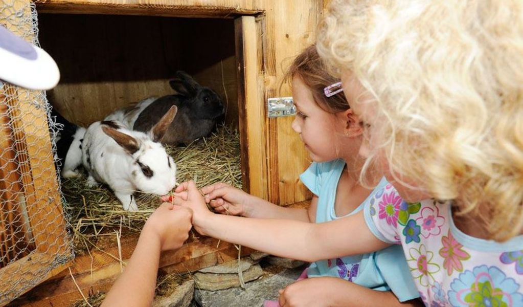 Pritzhütte - St. Michael im Lungau - Lungau