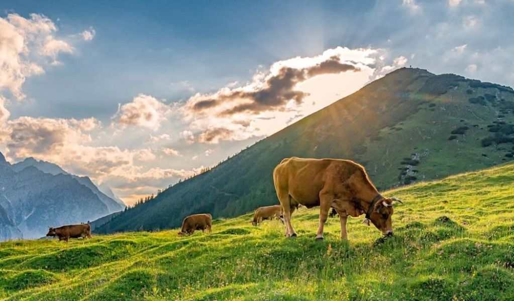 Plumsjochhütte - Pertisau - Silberregion Karwendel