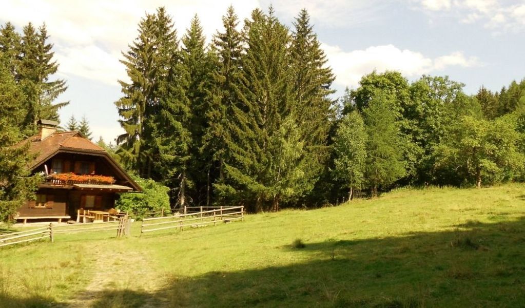 Kraber Alm im Metnitztal - Grades - Mittelkärnten