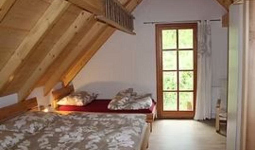 Ferienhaus "Am Stein" - Kleinreifling - Steyr und die Nationalpark Region