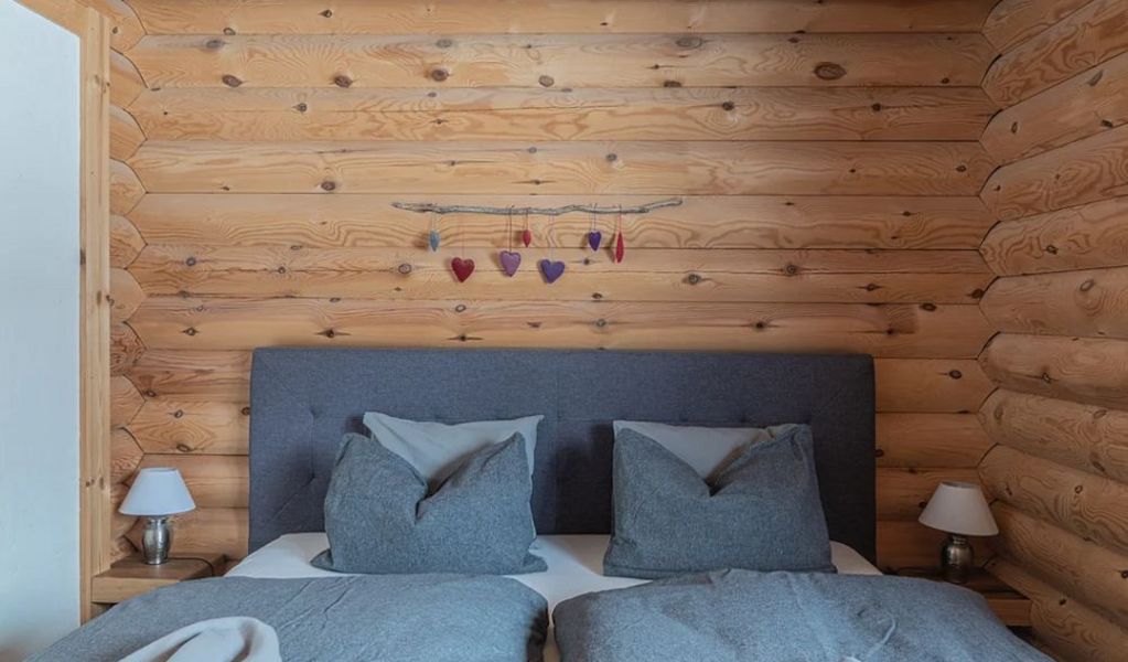 Hütte am Wald - Hof bei Salzburg - Salzburg und Umgebung