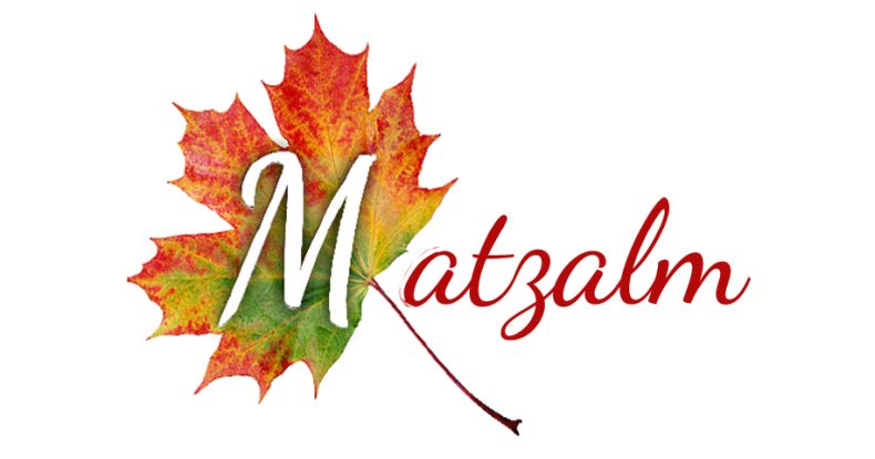 Logo - Matzalm - Pirzbichl - Salzburg
