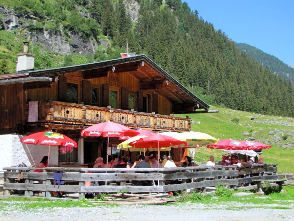 Kainzenhüttenalm - Brandberg - Zillertal